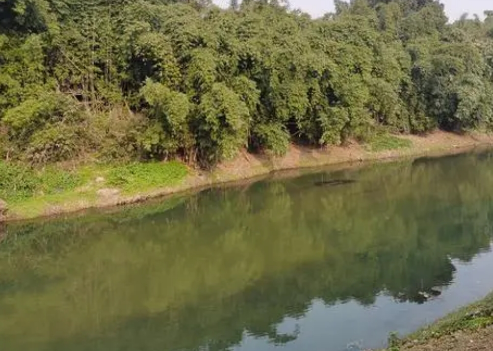 油坊溝重點山洪溝防洪治理項目監理服務